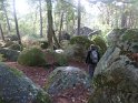 2012-10-11 16-47-47 Rando Fontainebleau-apres-midi FGn